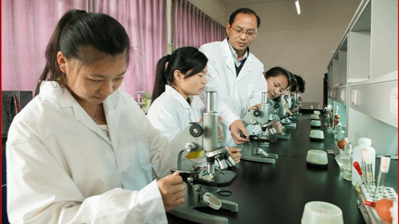 GMP认证设备材质：材质选择背后的科学考量