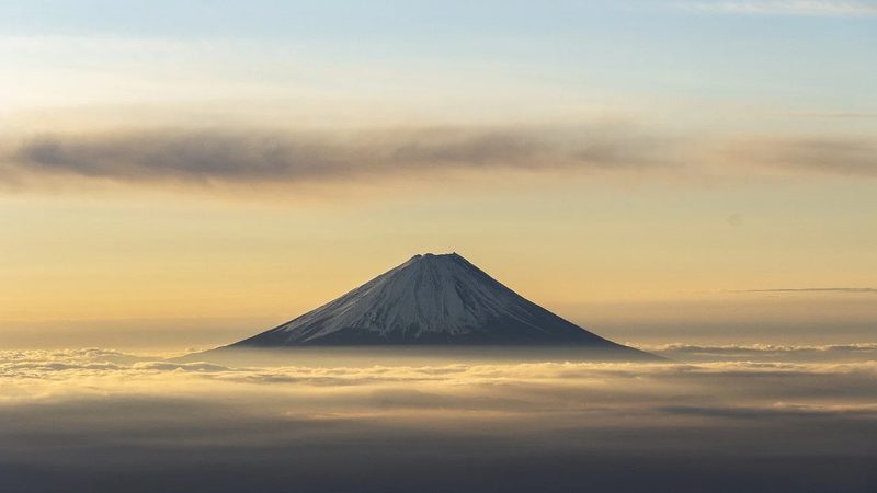 植物提取物加工成本构成解析**