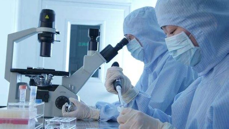 医药中间体CAS号查询，软件选型指南