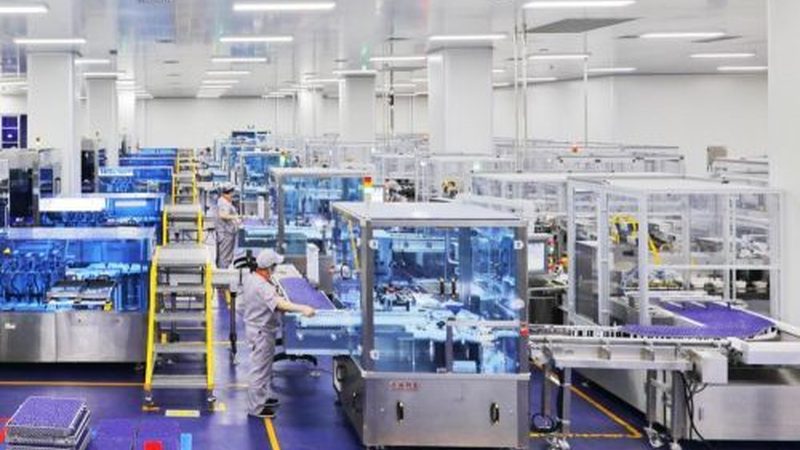 成都药用辅料批发市场：揭秘行业现状与选品要点